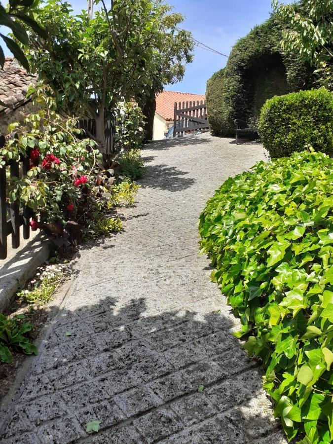 La Casina De Santulaya Villa Cangas De Narcea Exteriör bild